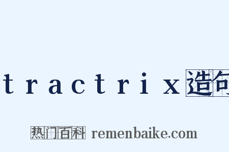 tractrix造句是什么意思的图片